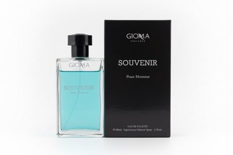 Gioma souvenir 100ml edt equivalente sauvage dior
