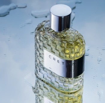 LPDO CRETUS EDP 100ML - creed equivalent